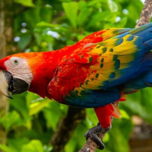 Tarapoto