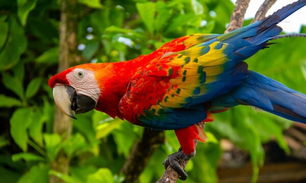 Tarapoto